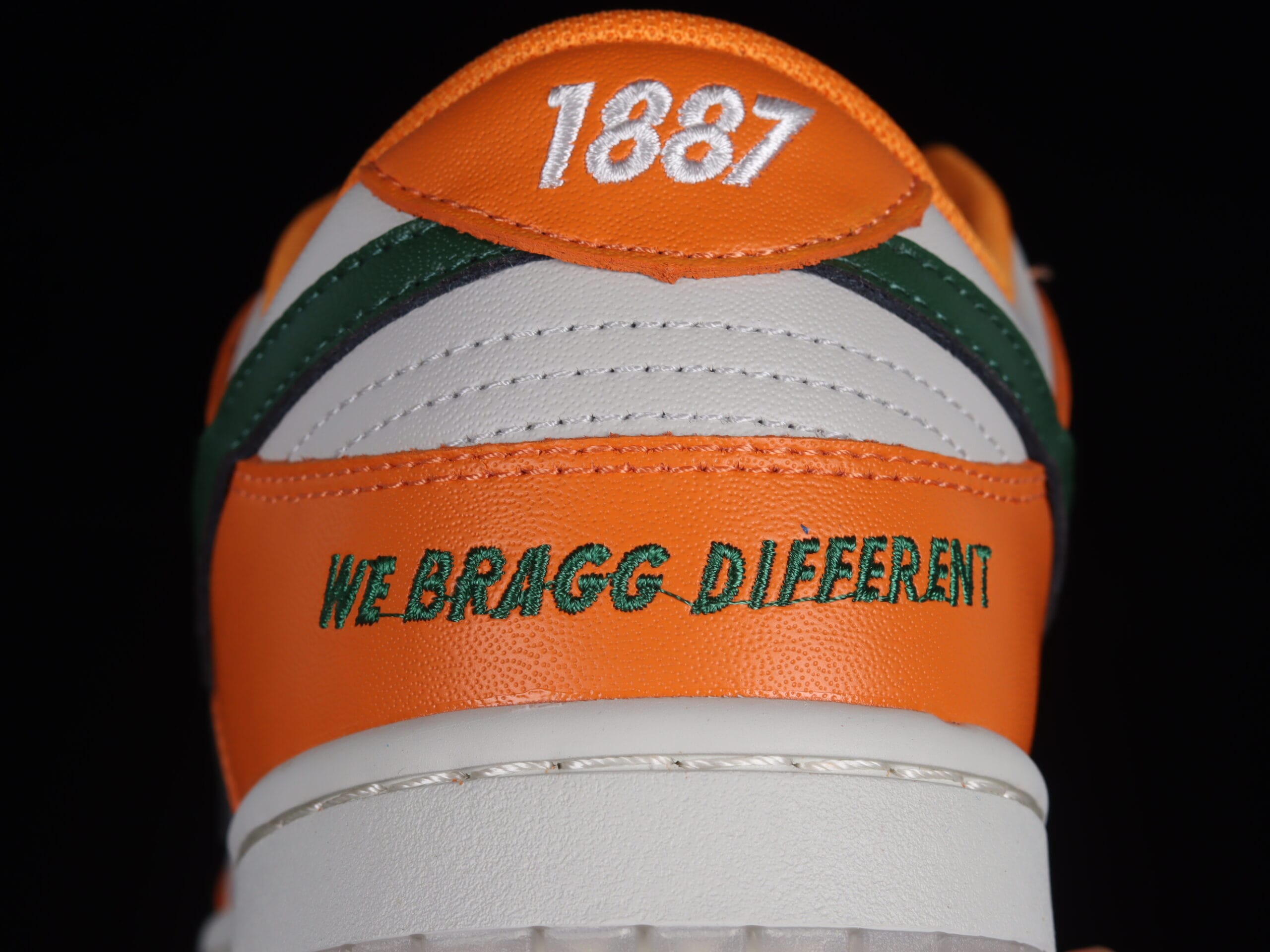 Nike Dunk Low Florida A M University