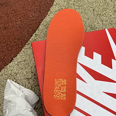 Nike Dunk Low NH Winter Solstice