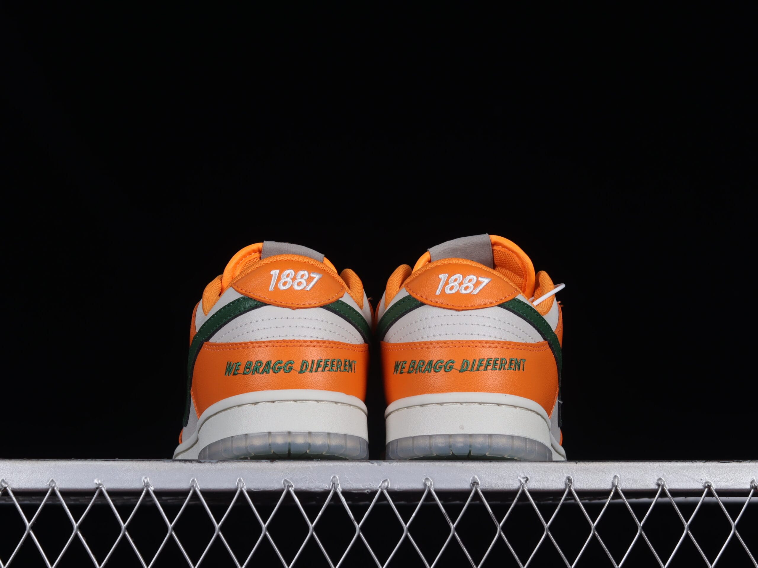 Nike Dunk Low Florida A M University