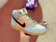 Nike SB Dunk High Spectrum
