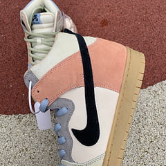 Nike SB Dunk High Spectrum