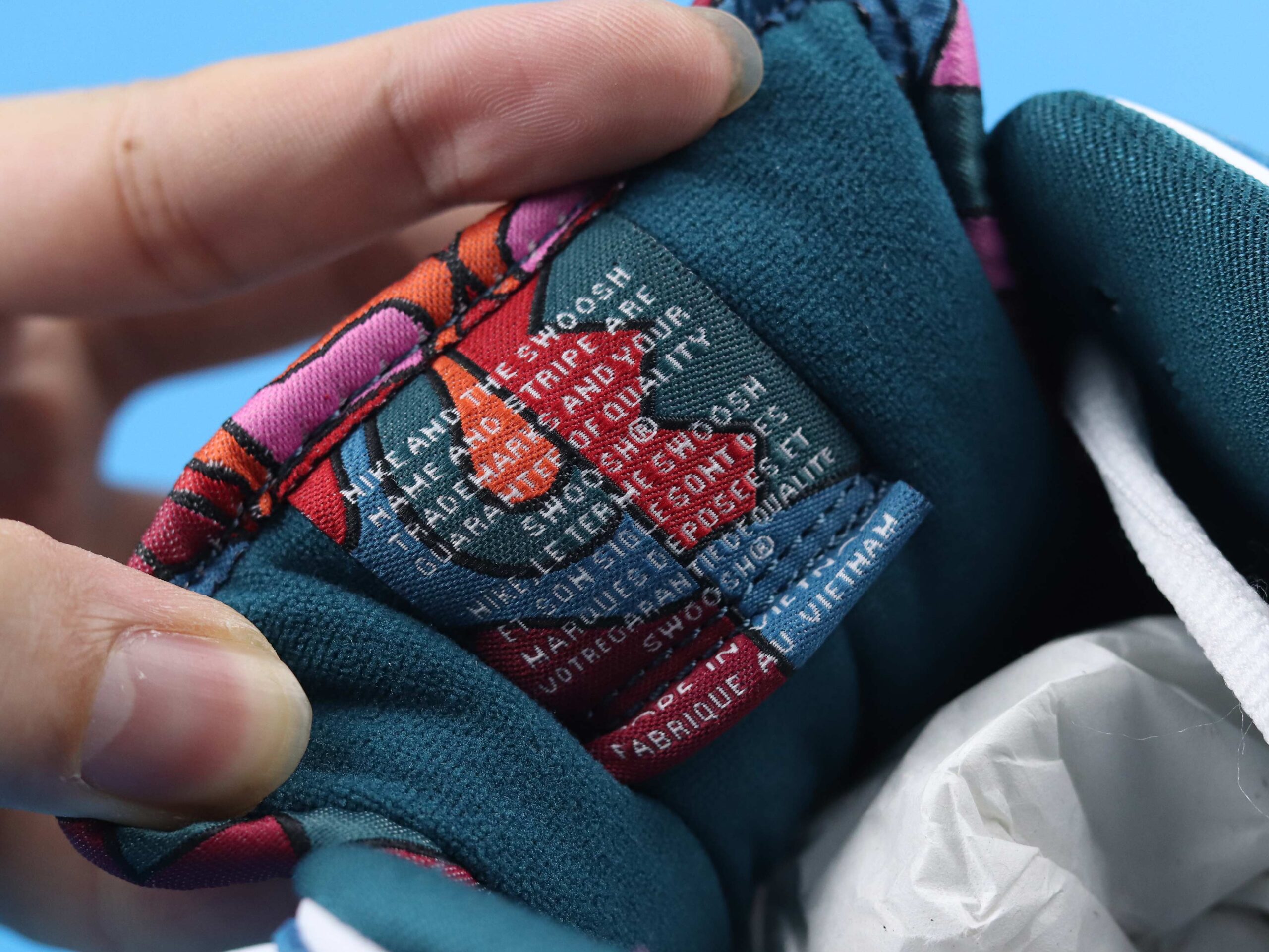 Nike Dunk SB Low Pro QS Parra (Friends   Family) (2021)