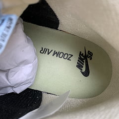 Nike SB Dunk High Spectrum