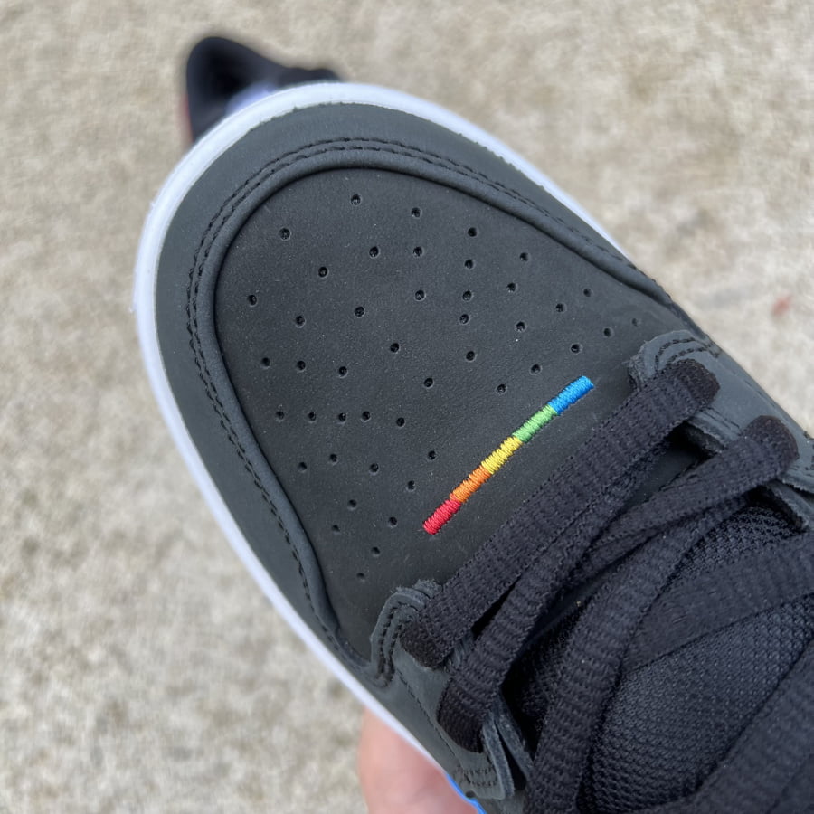 Polaroid x Nike SB Dunk Low