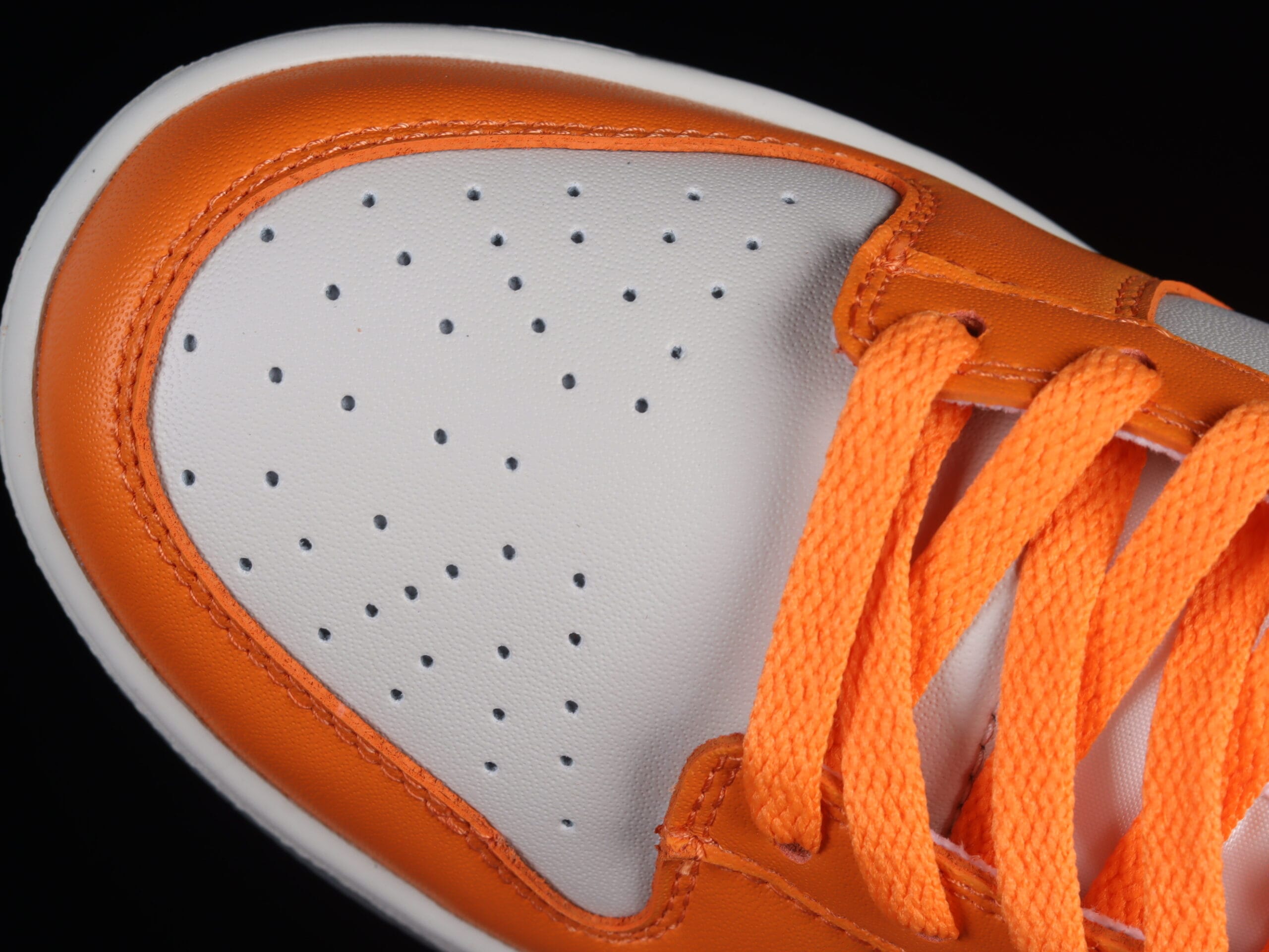 Nike Dunk Low Florida A M University