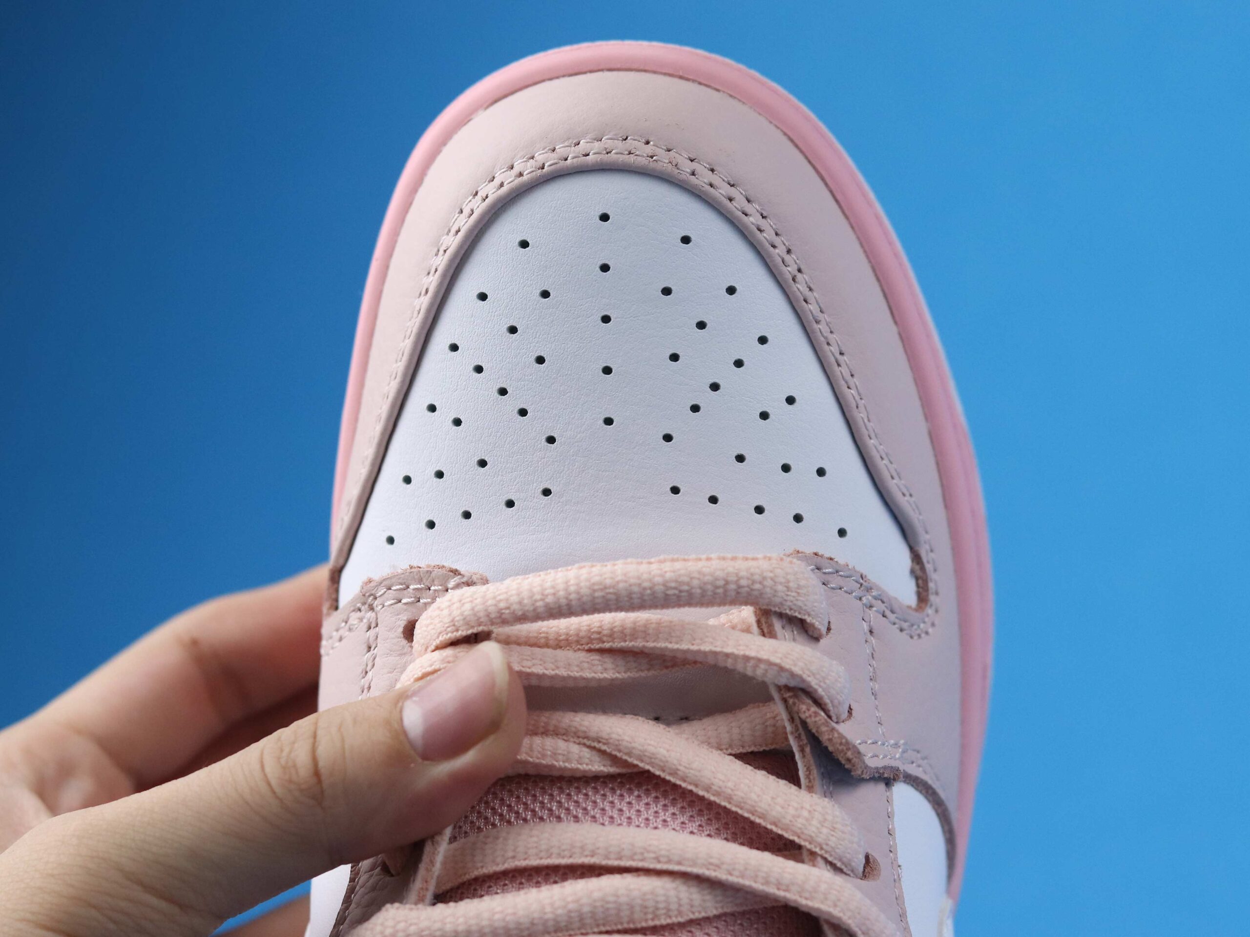 Nike SB Dunk Low Pink Pigeon