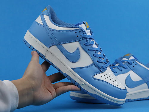 Nike Dunk Low Coast