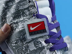 Nike Dunk Low SE  Flip the OLd School