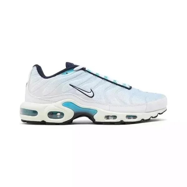 Nike Air Max Plus Sneaker Collection