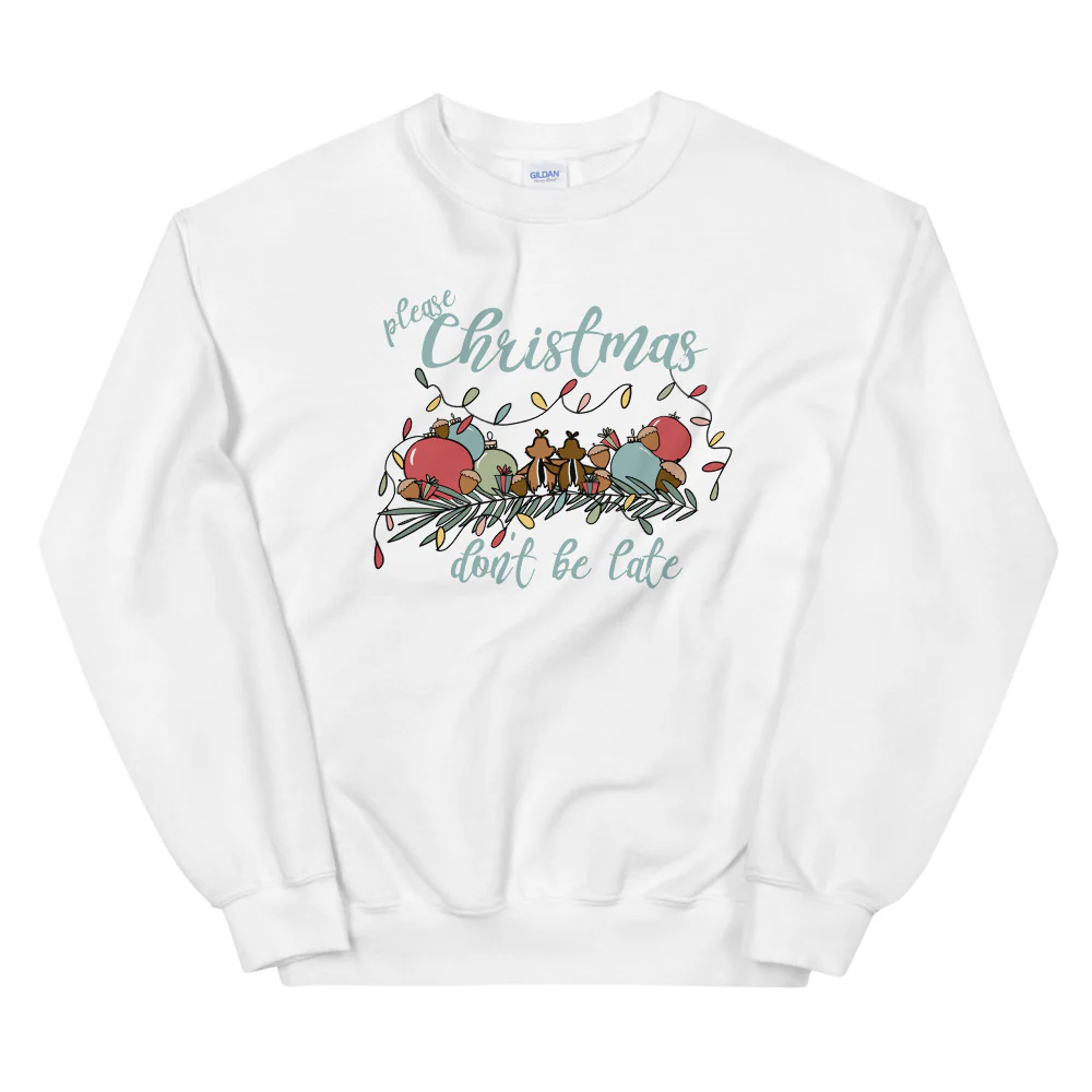 Chip and Dale Christmas Sweatshirt Please Christmas Don't Be Late Chipmunk Song Sweatshirt
