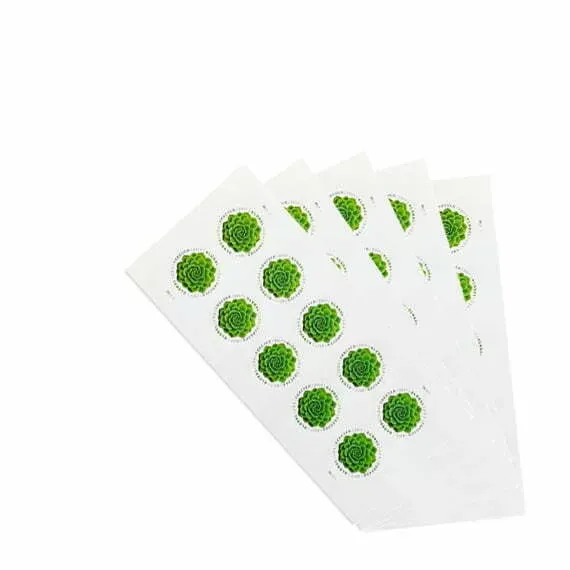 2017 Global Green Succulents  Forever Stamps