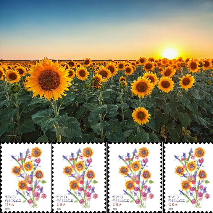 Sunflower Bouquet Stamps 2022
