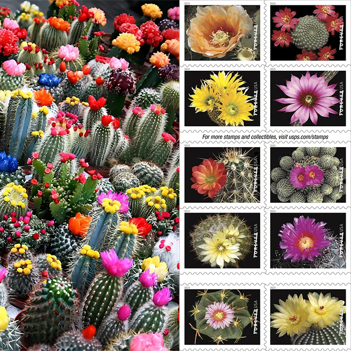 Cactus Flowers Forever Stamps 2019