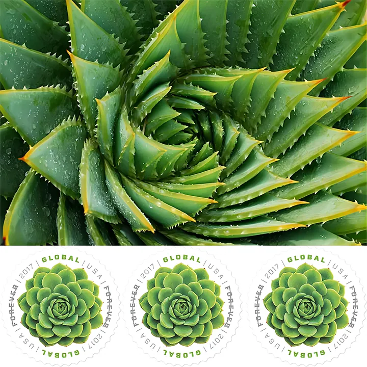 2017 Global Green Succulents  Forever Stamps