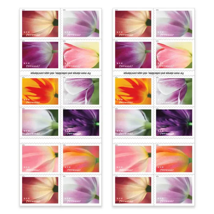 Tulip Blossoms Stamps 2023
