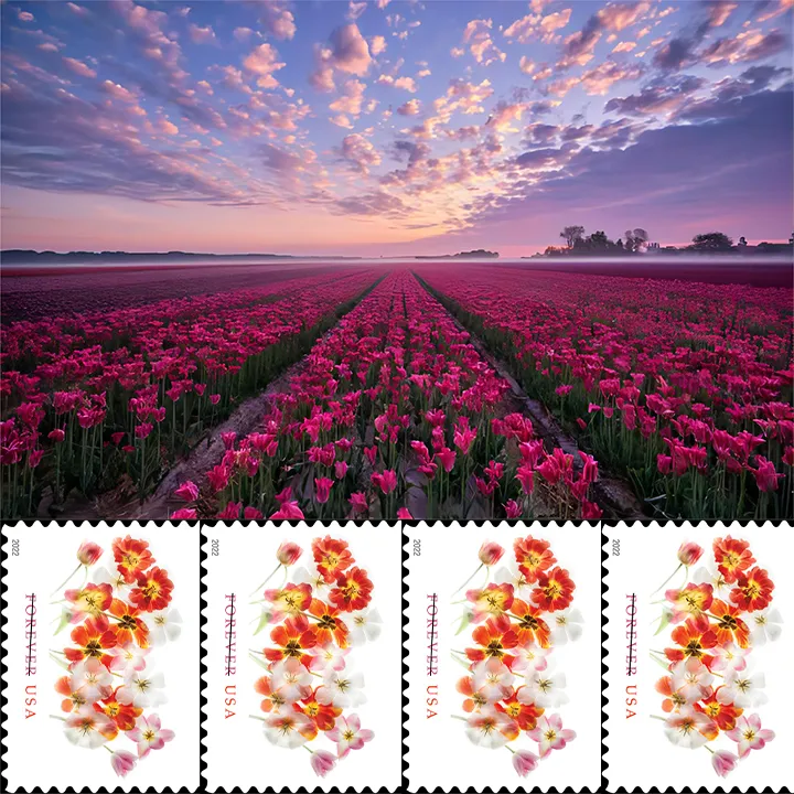 Tulips Forever Stamps 2022