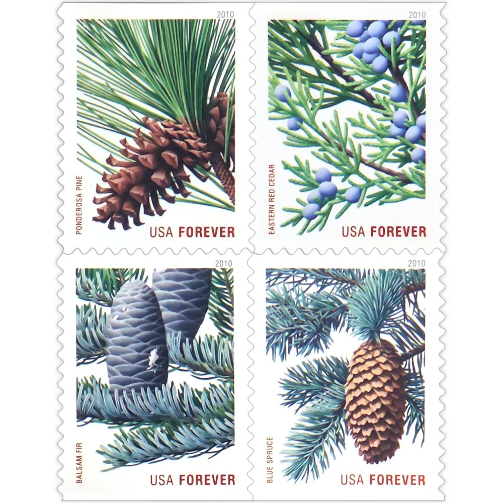 π₯( US FREE SHIPPING ) Holiday Evergreen