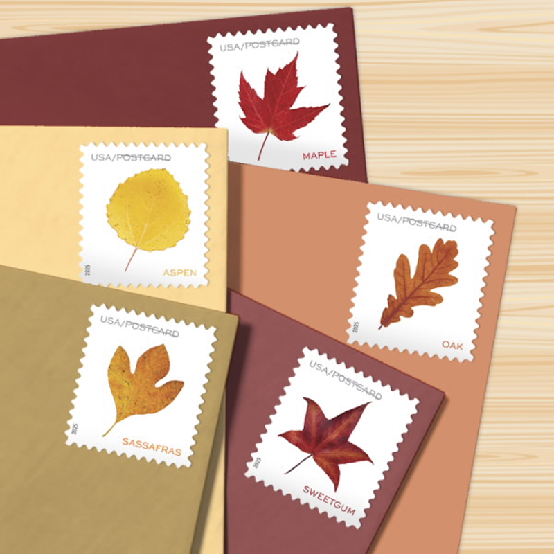 2025 Vibrant Leaves Postcard Stamps, Sheetof 20 Postcard |Multiple Stamp Designs and Formats