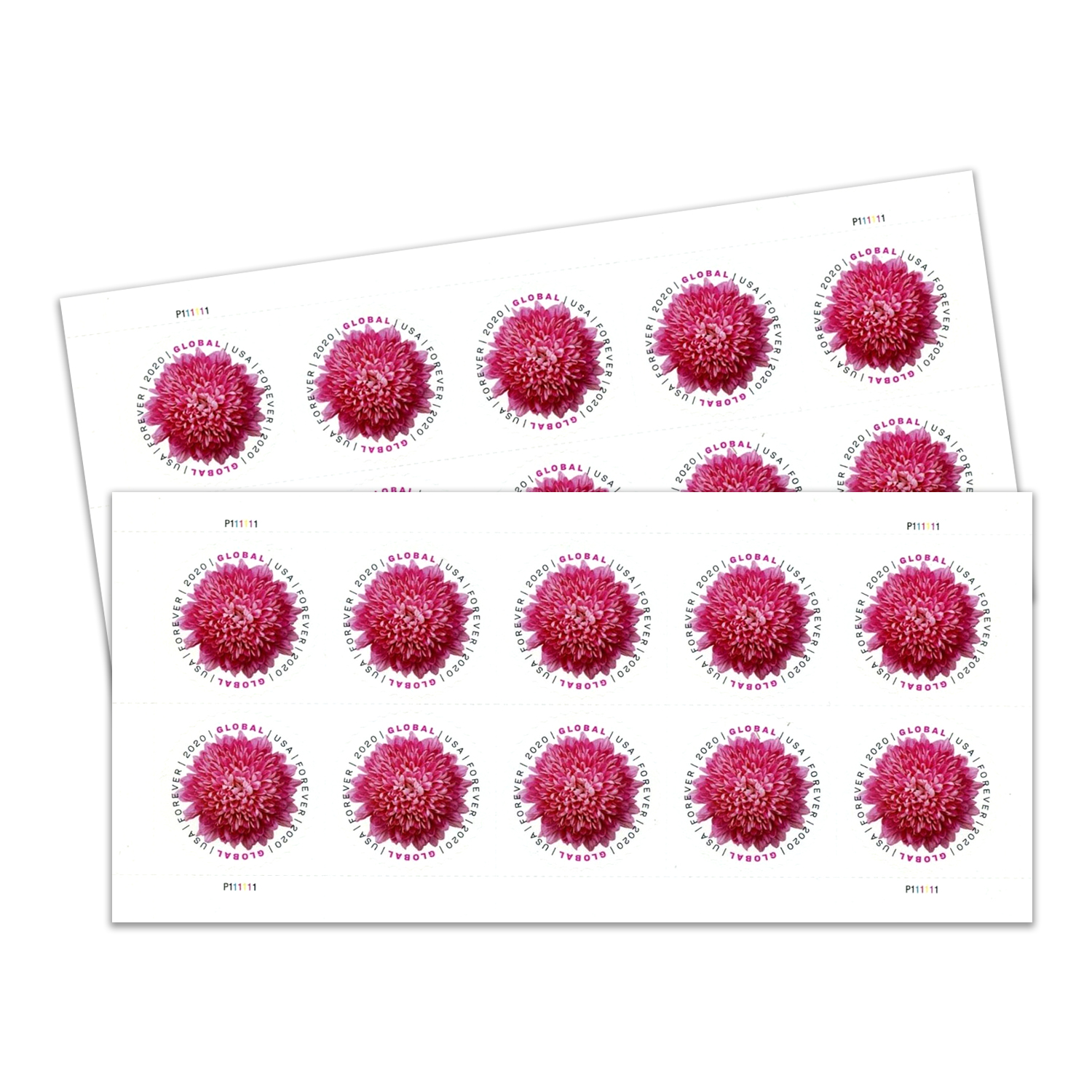 Global 2020 Forever international U.S.