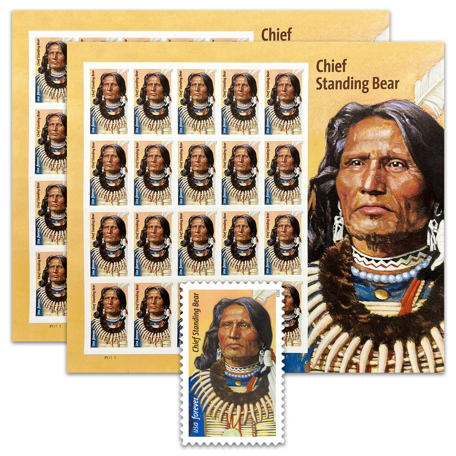 Chief Standing Bear