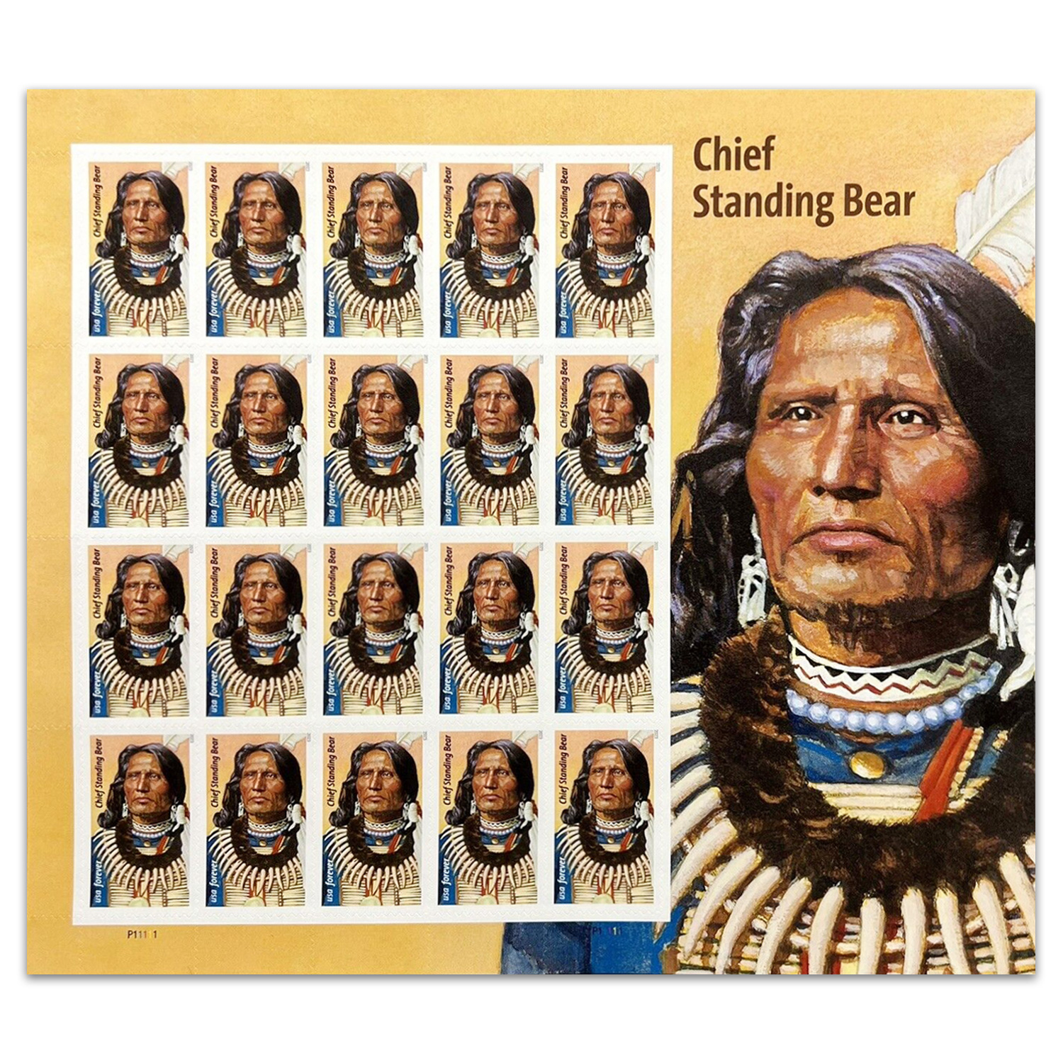 Chief Standing Bear