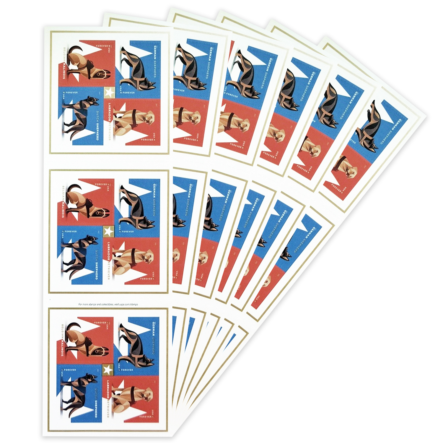 Military Working Dogs