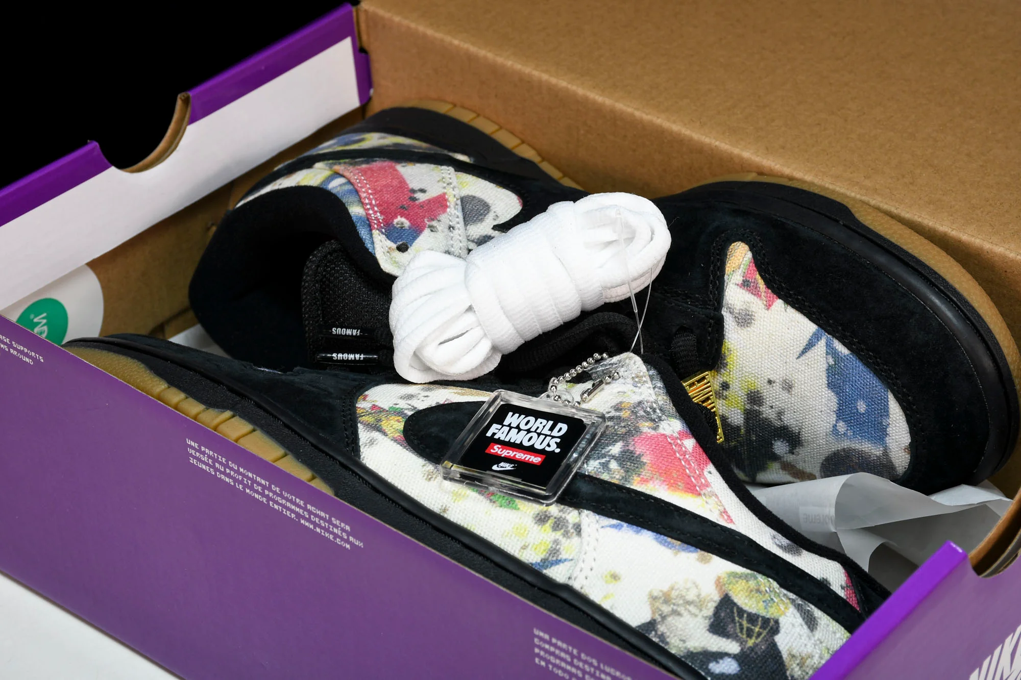 Supreme x SB Dnk Low 