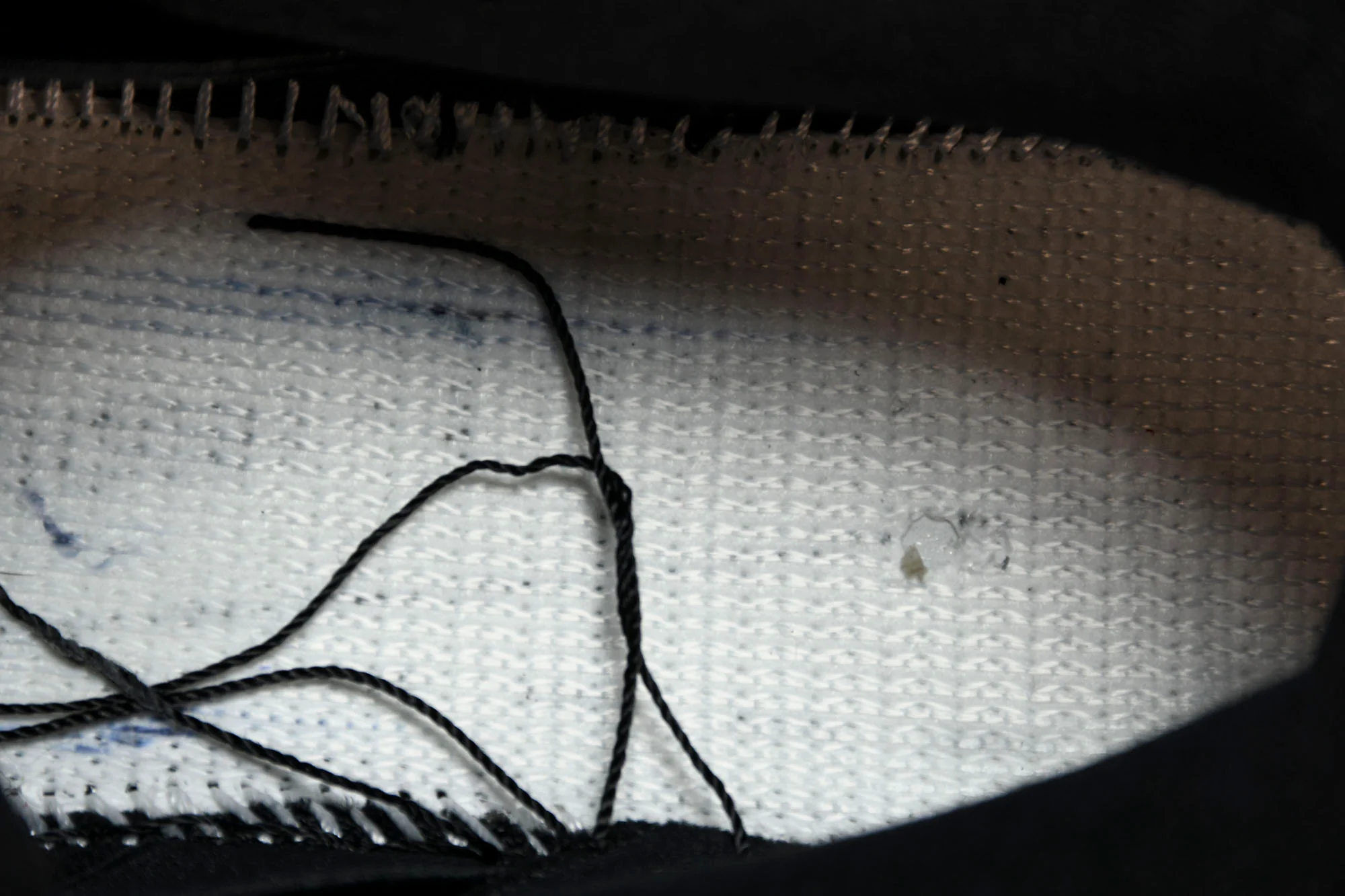 Supreme x SB Dnk Low 