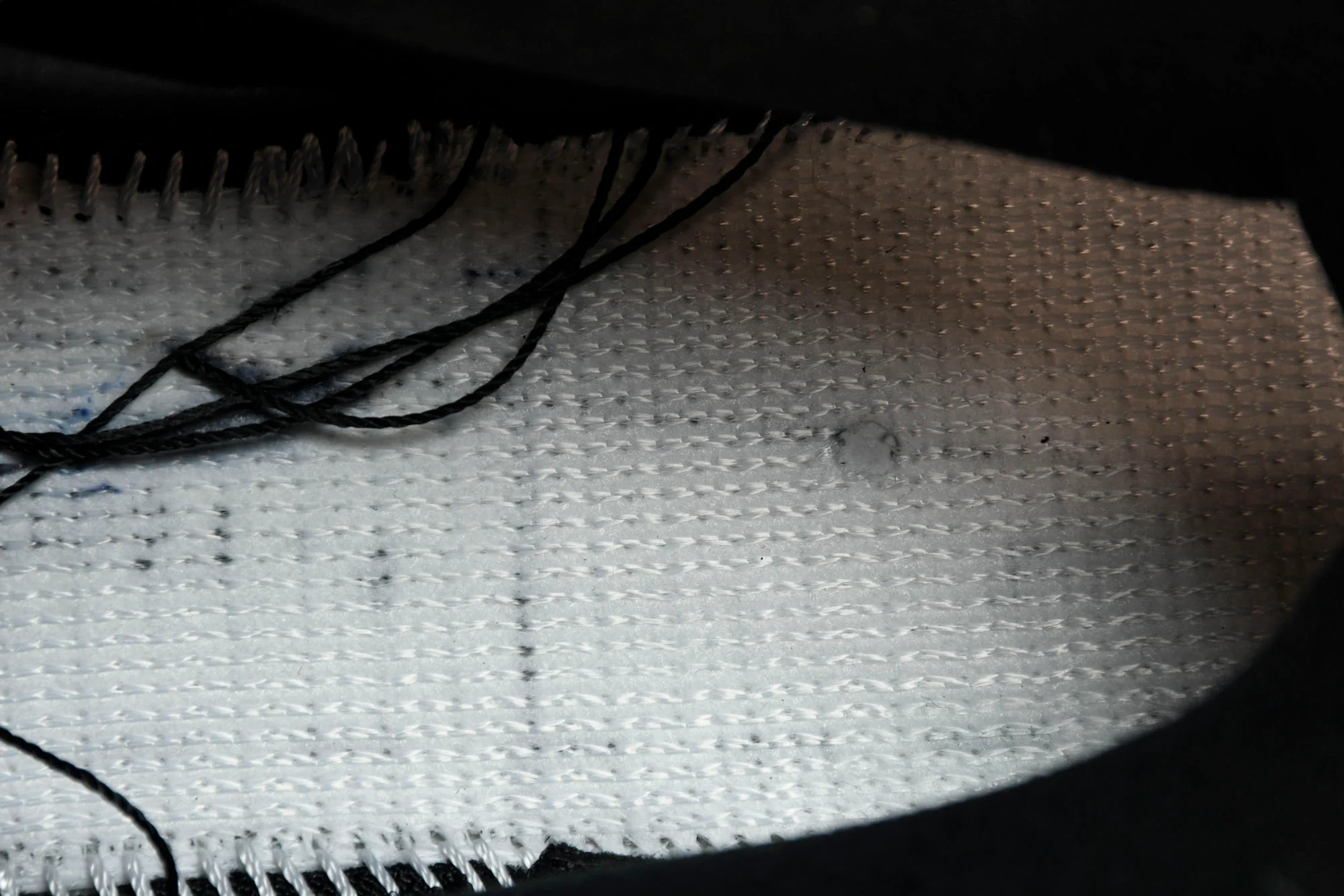 Supreme x SB Dnk Low 