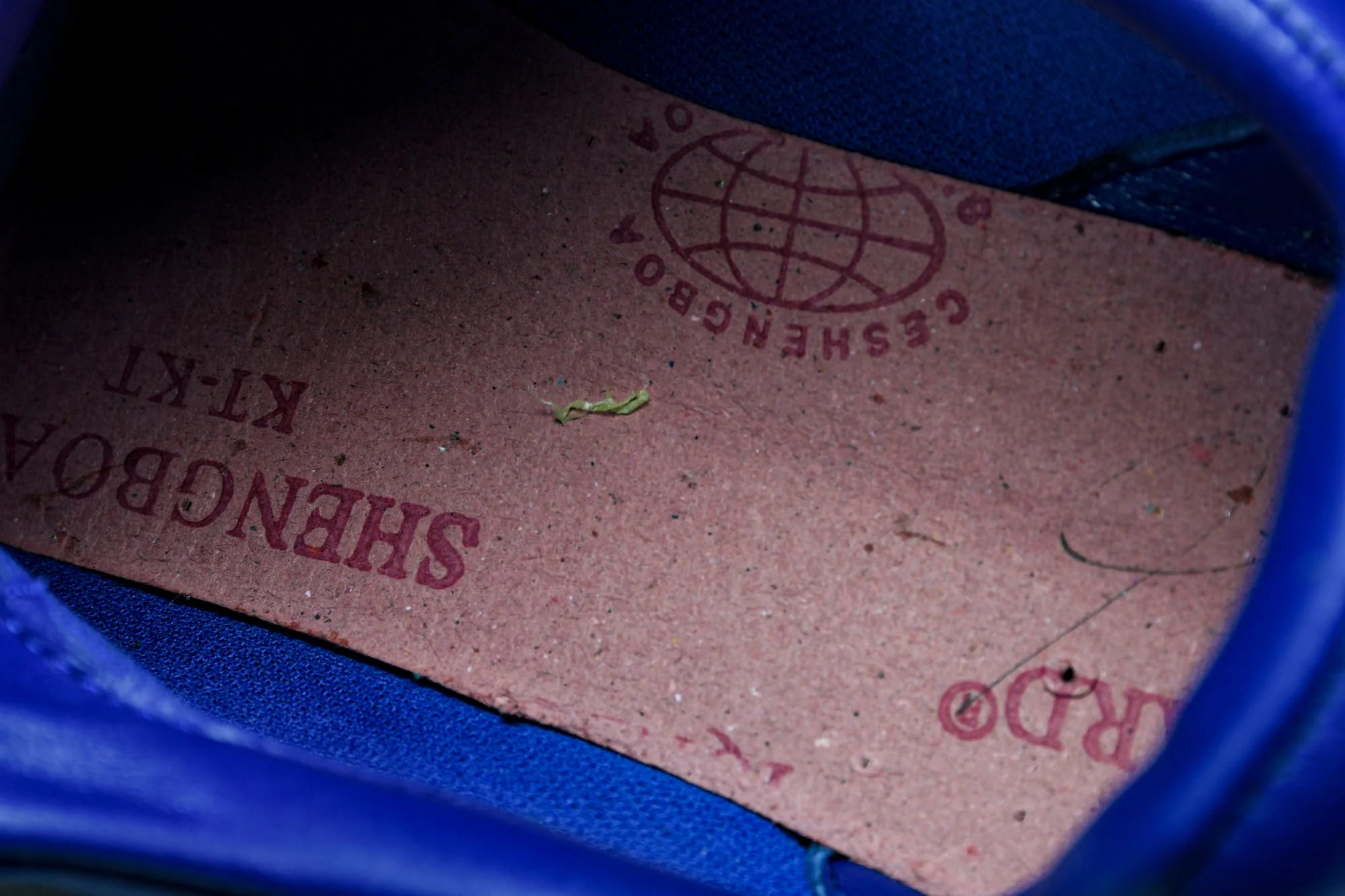 Louis Vuittоп Footprint Soccer Sneaker 'Blue'