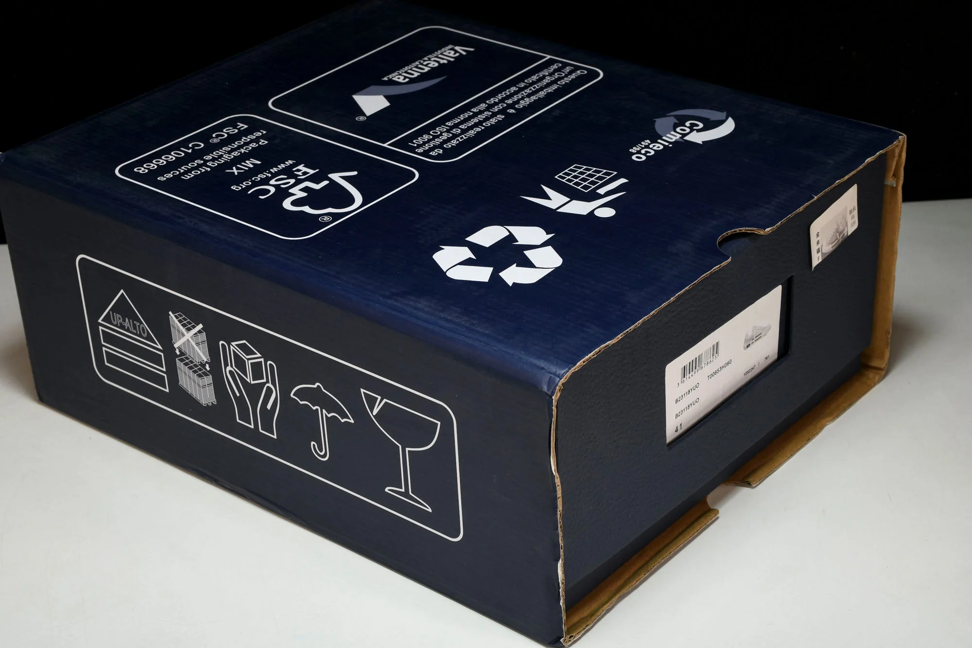 D1or B23 Skater Low 'Oblique'