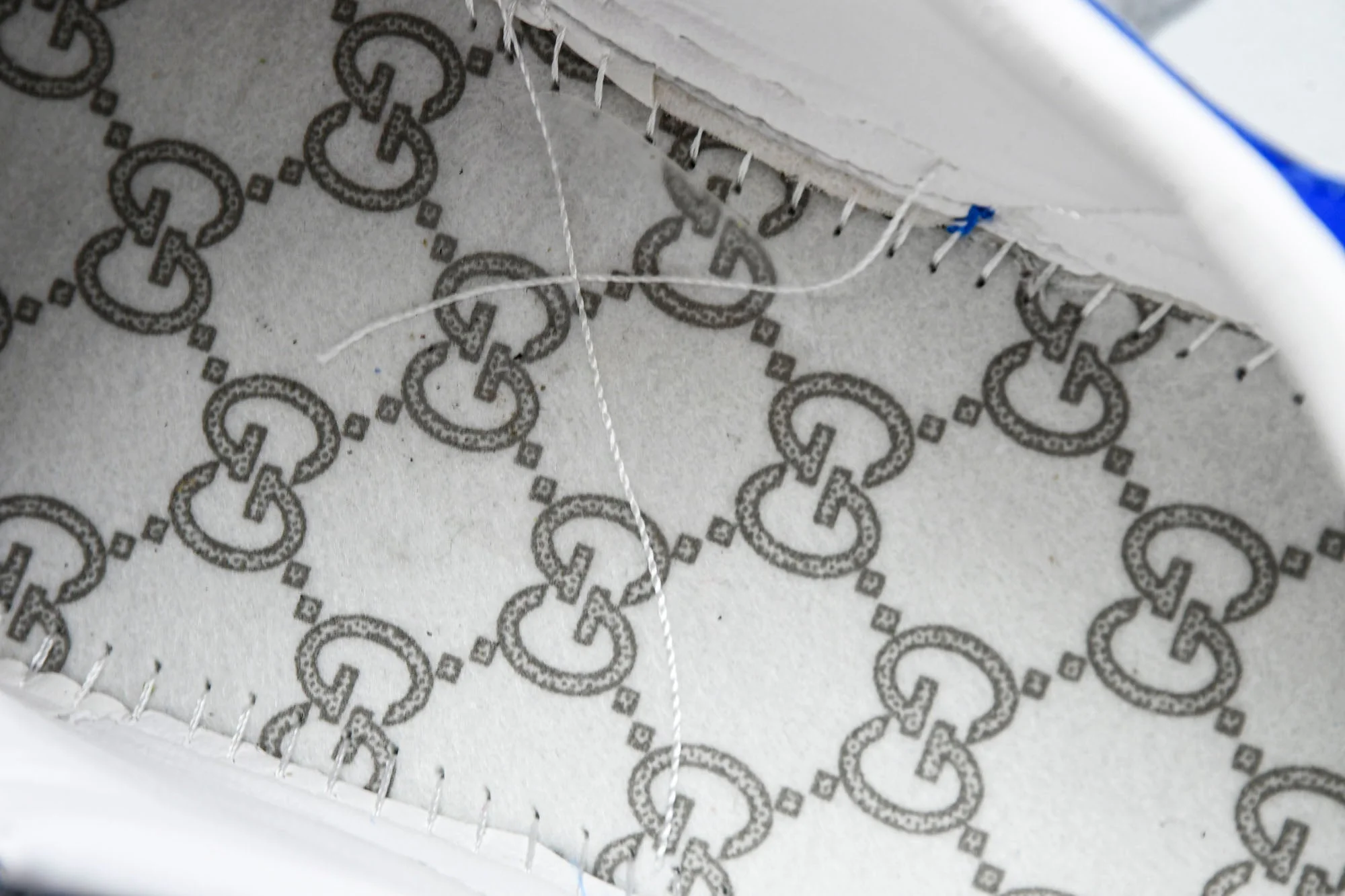 Guссi Ace Web 'Blue Monogram'