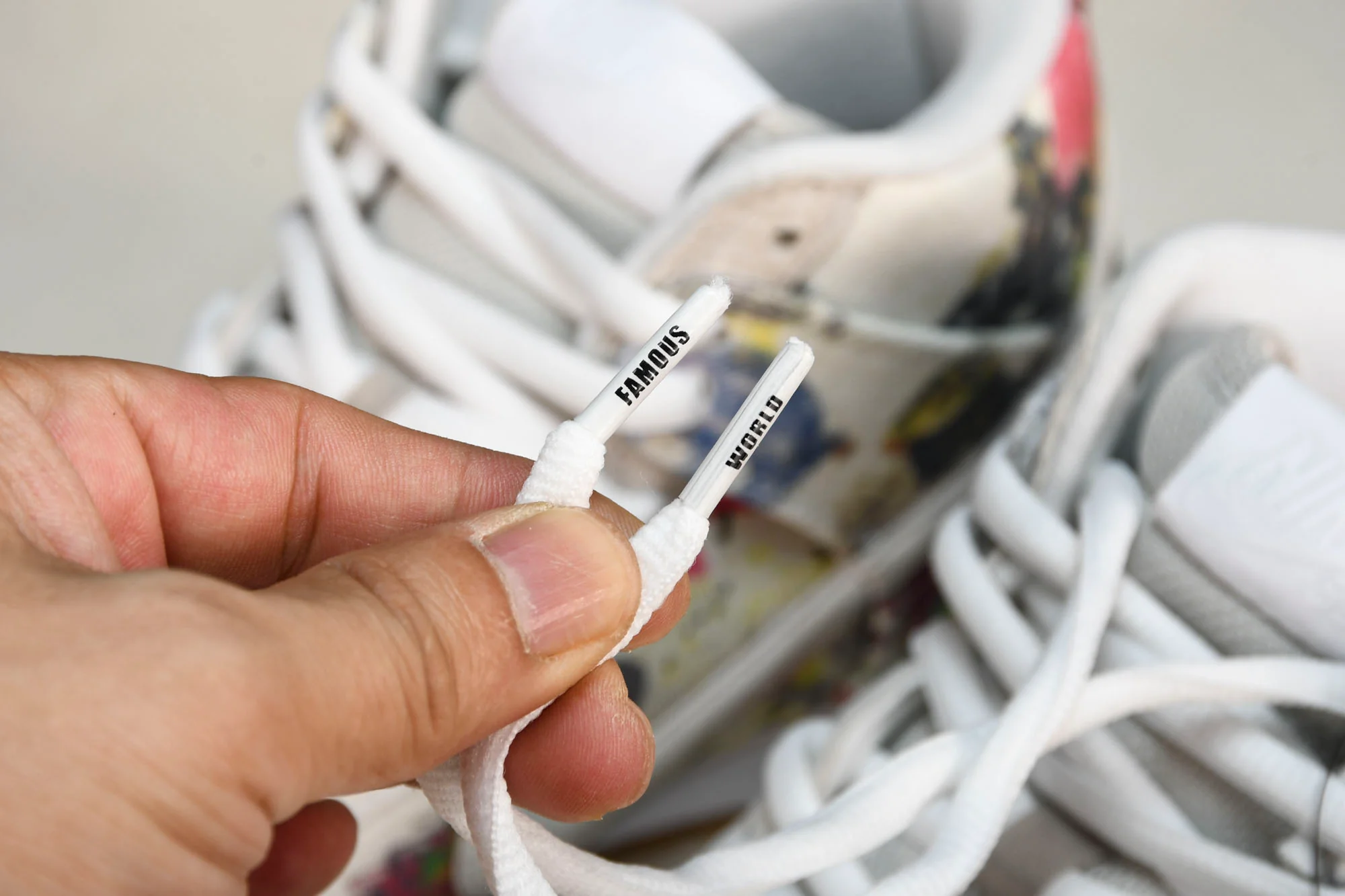 Supreme x SB Dnk High 