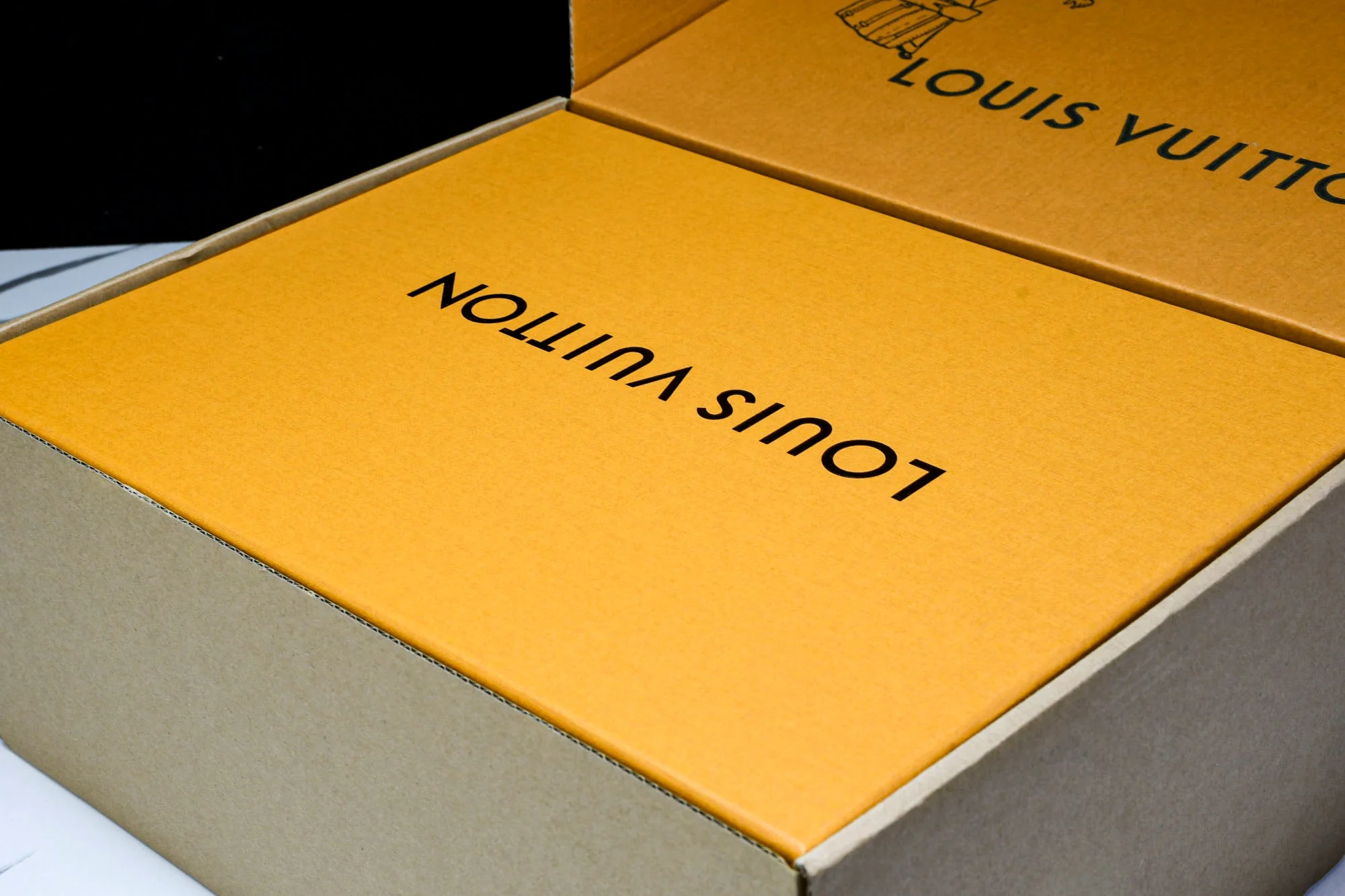 Louis Vuittоп Trainer Low Ski Waterproof 'Grey'