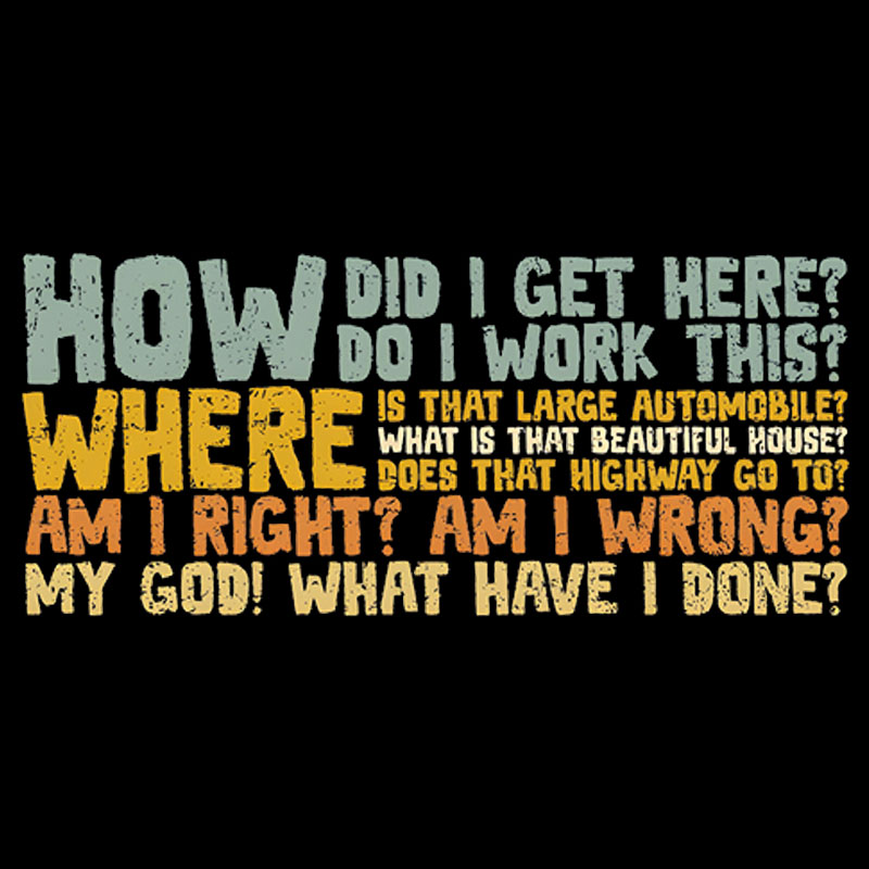 How Did I Get Here Geek T-Shirt