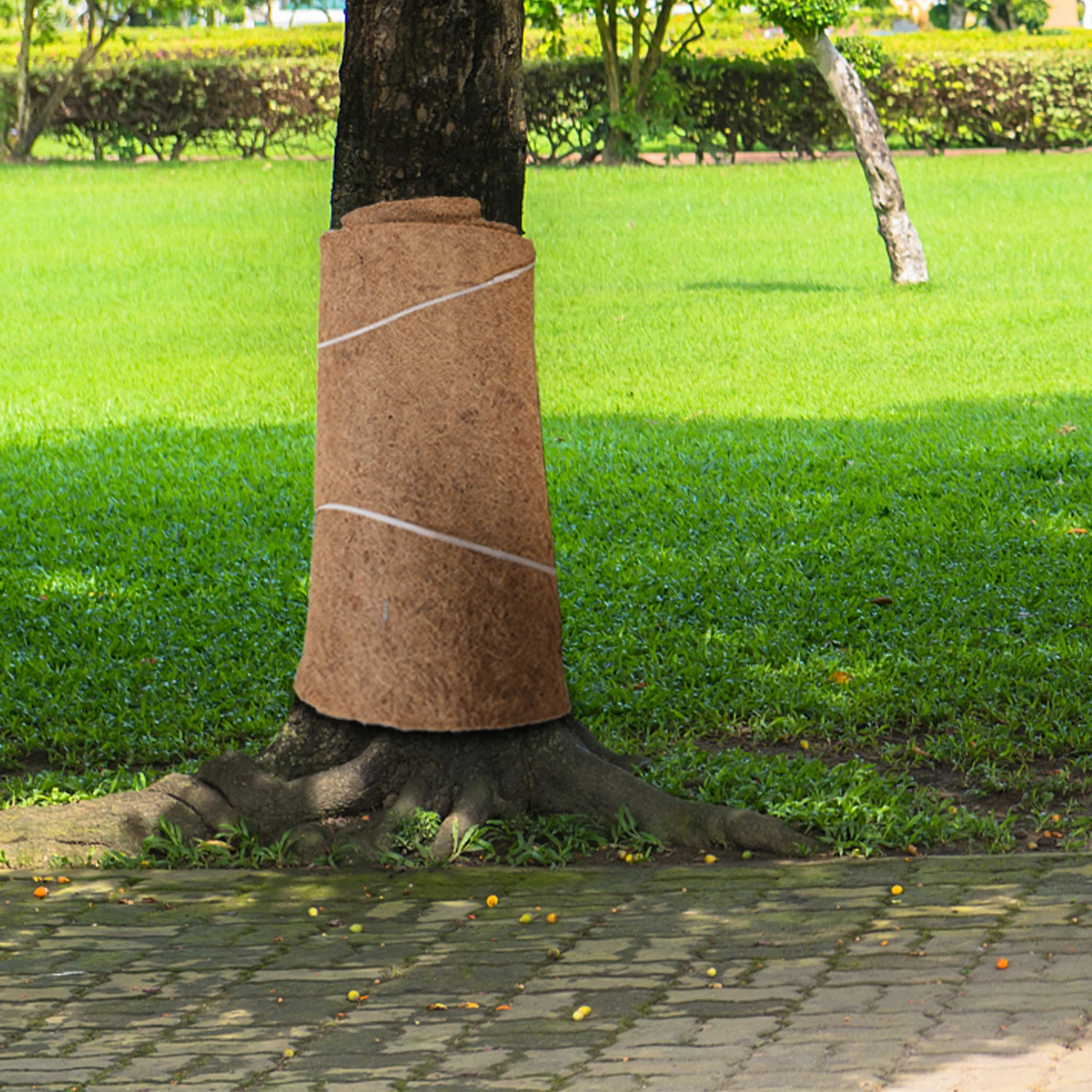 Kokosmatte Pflanzenschutz 5M/10M