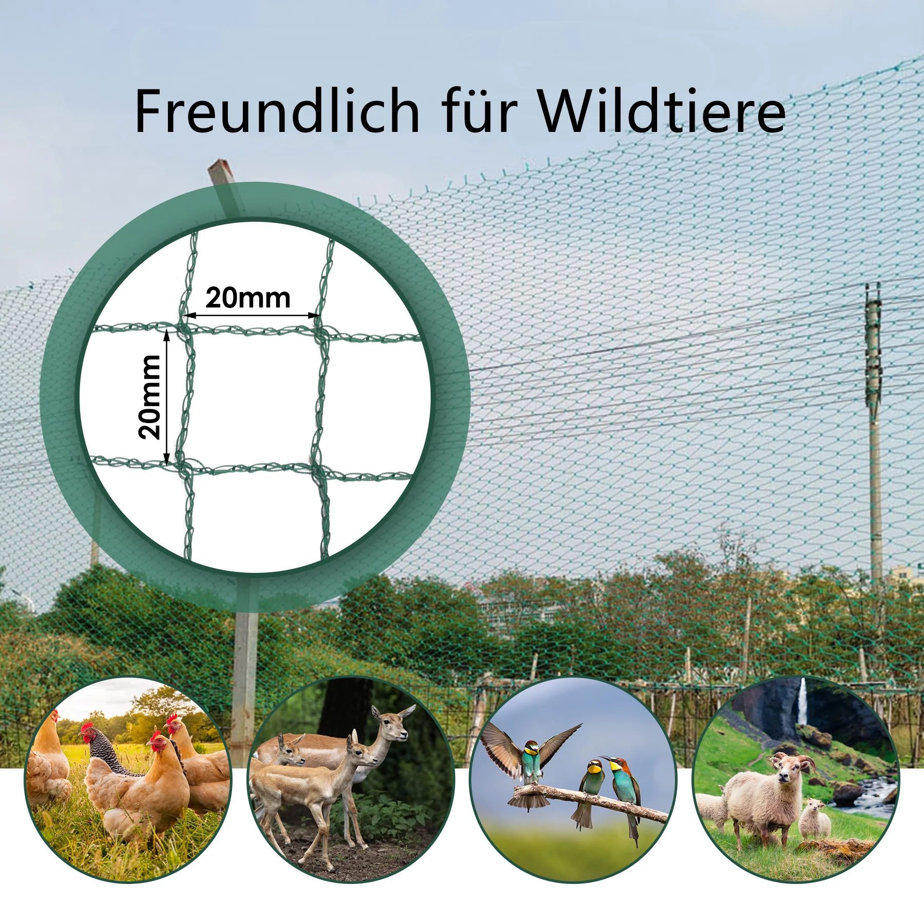 Teichnetz Vogel Reihernetz