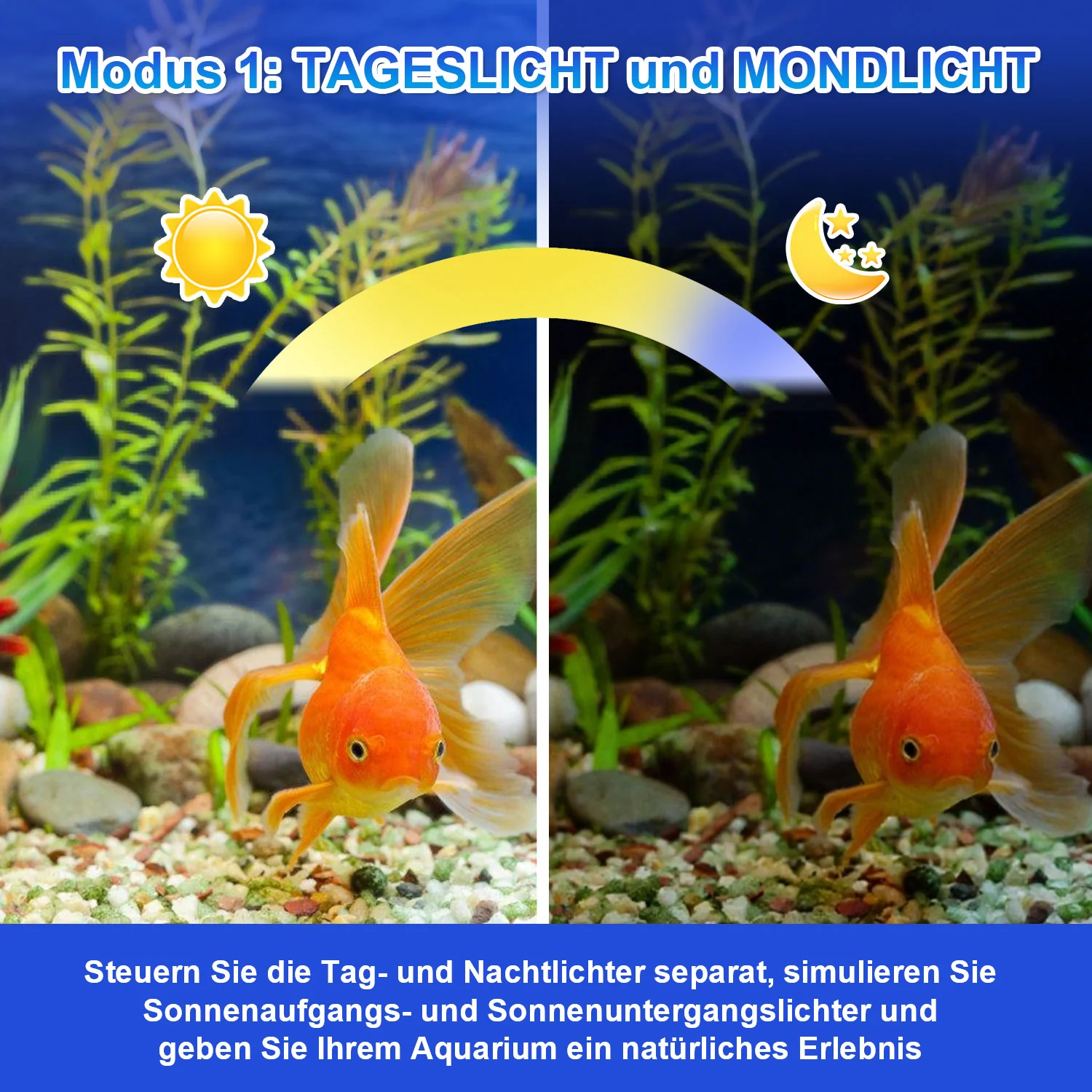 LED Aquarium Beleuchtung 24/7 Modus mit Zeitschaltung