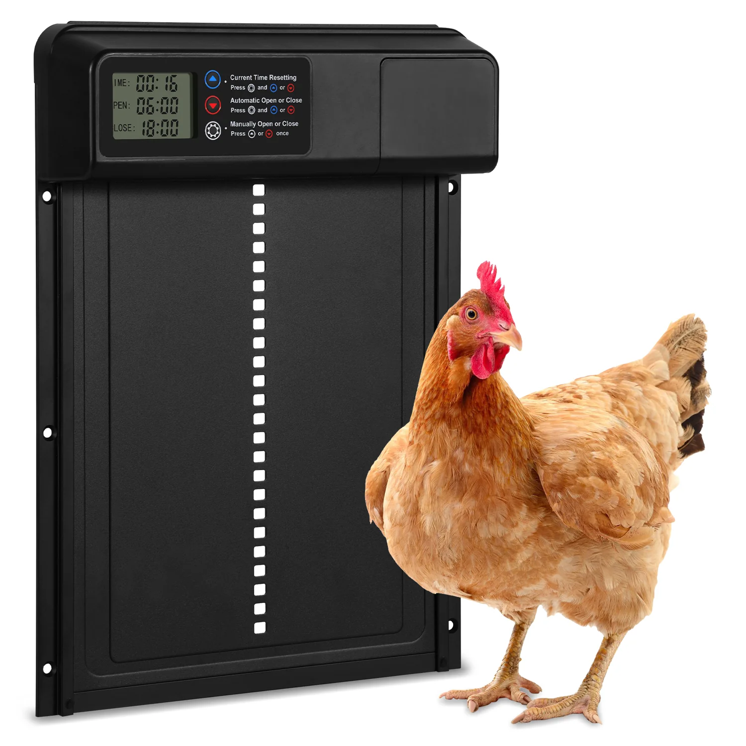 Hühnerklappe Automatische Zeitschaltuhr(Upgrade-Version)