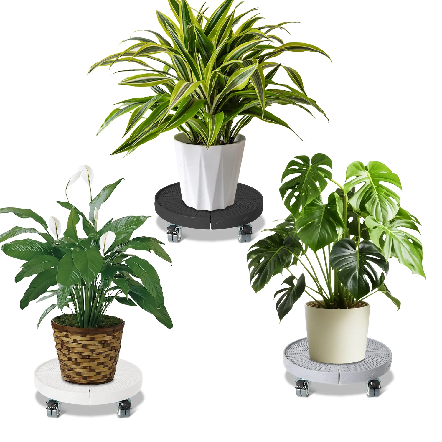 Pflanzenroller Rund Einstellbar mit 360°Drehbare Rädern