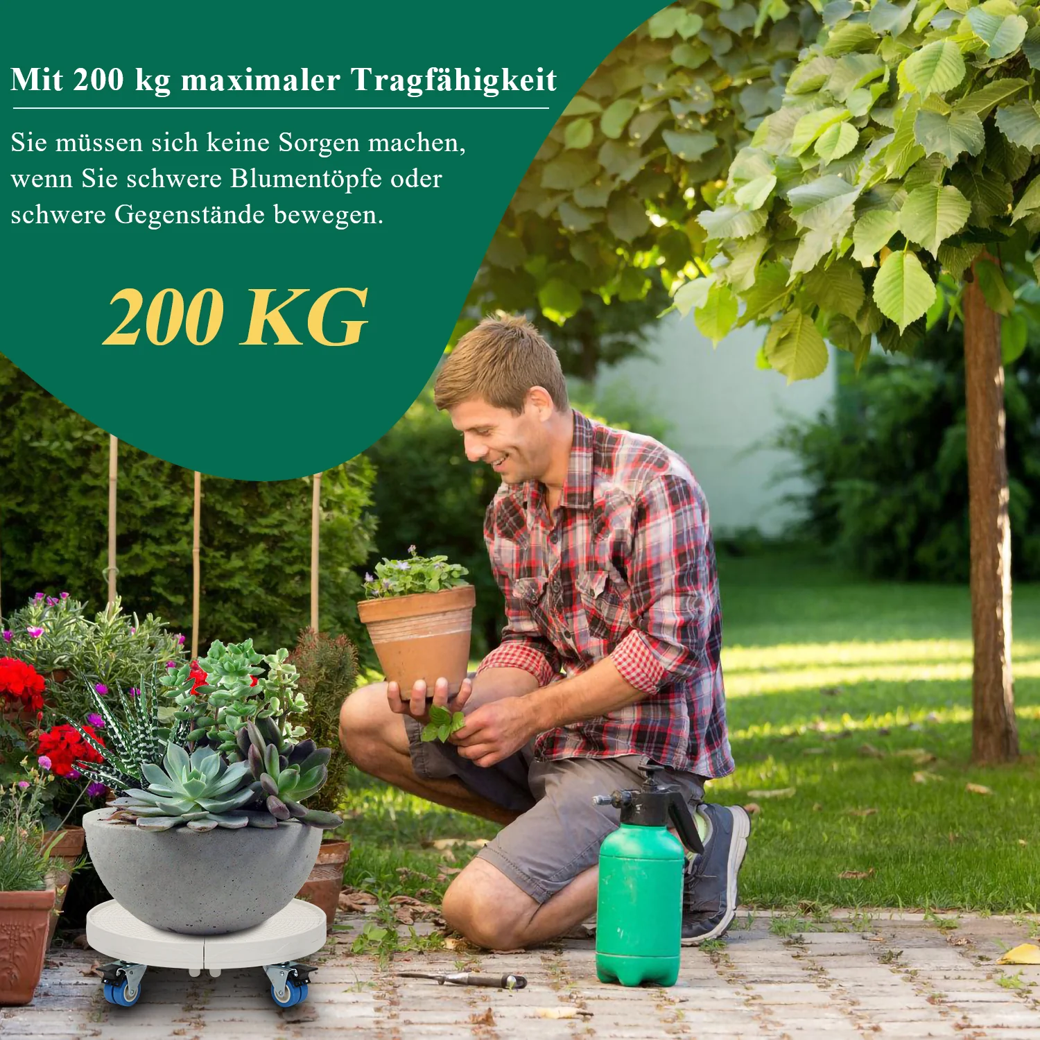 Pflanzenroller mit Rollen Tragkraft 200 kg