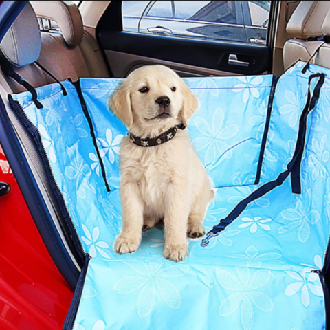 Autositzbezug für Hunde – Schutz und Komfort auf Reisen