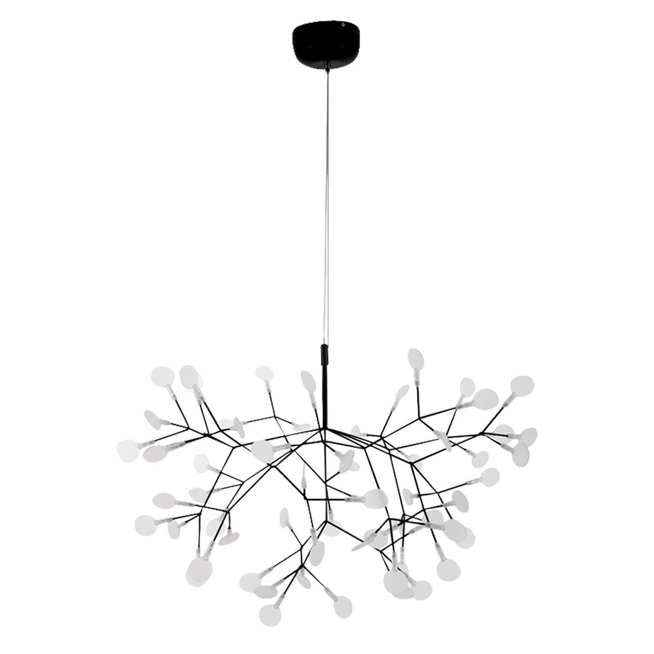 Heracleum-Kronleuchter