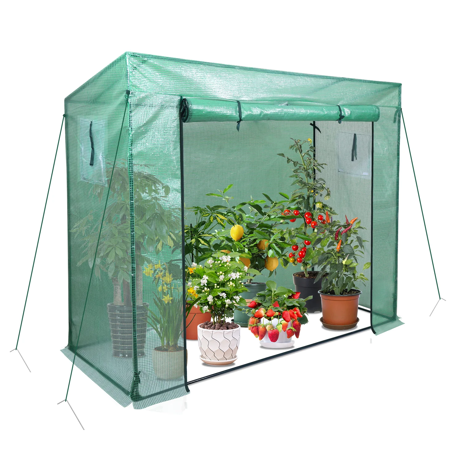 Gewächshaus Foliengewächshaus 200 x 80 x 170cm