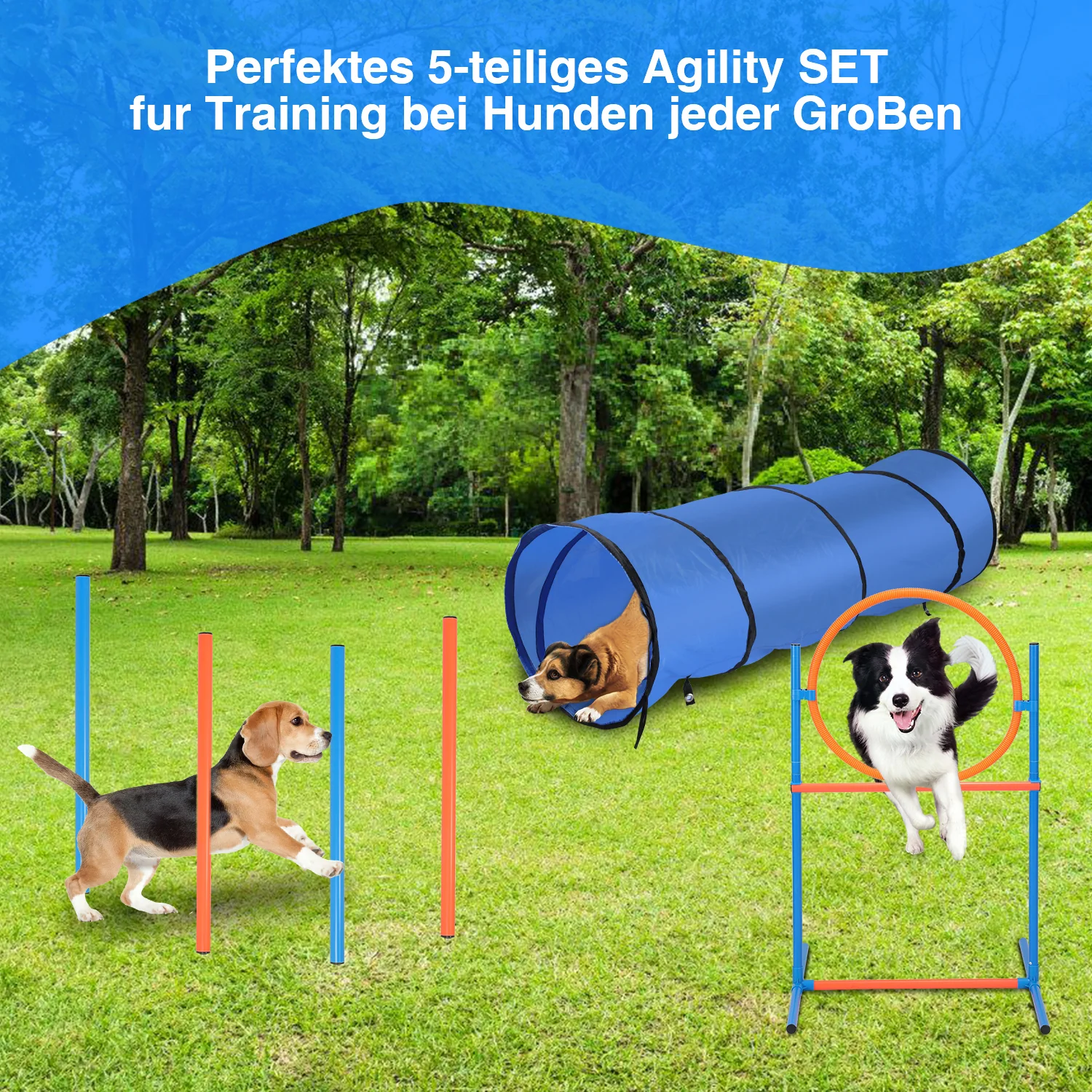 Agility Set Hunde Hundetraining zubehör für Hunde