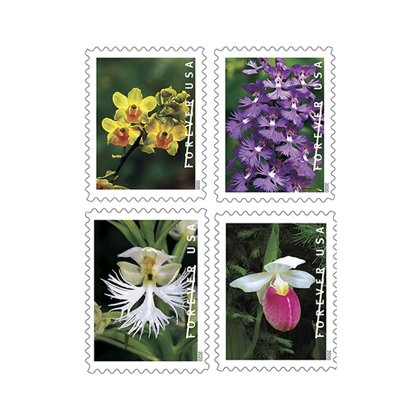 Wild Orchids Forever Stamps