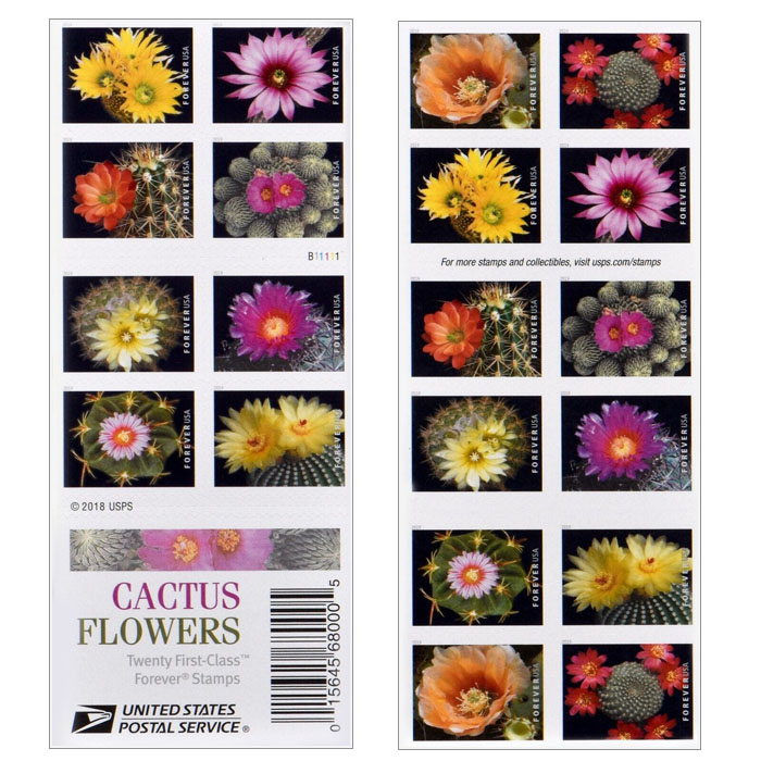 Cactus Flowers Forever Stamps