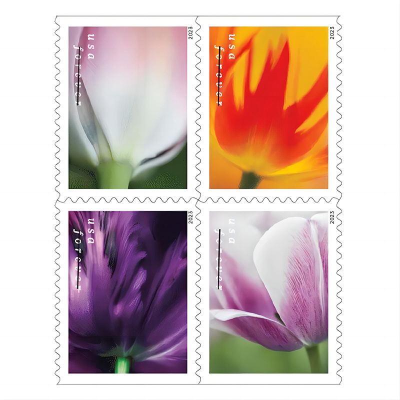 Tulip Blossoms Forever Stamp