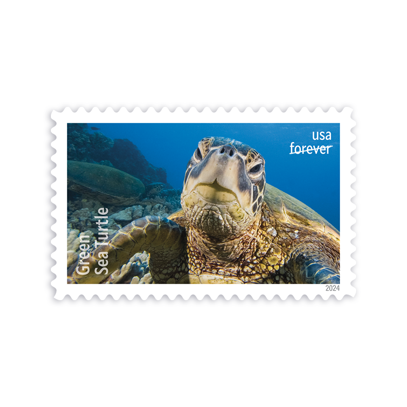 2024 Protect Sea Turtles Stamps