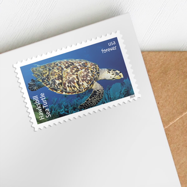 2024 Protect Sea Turtles Stamps